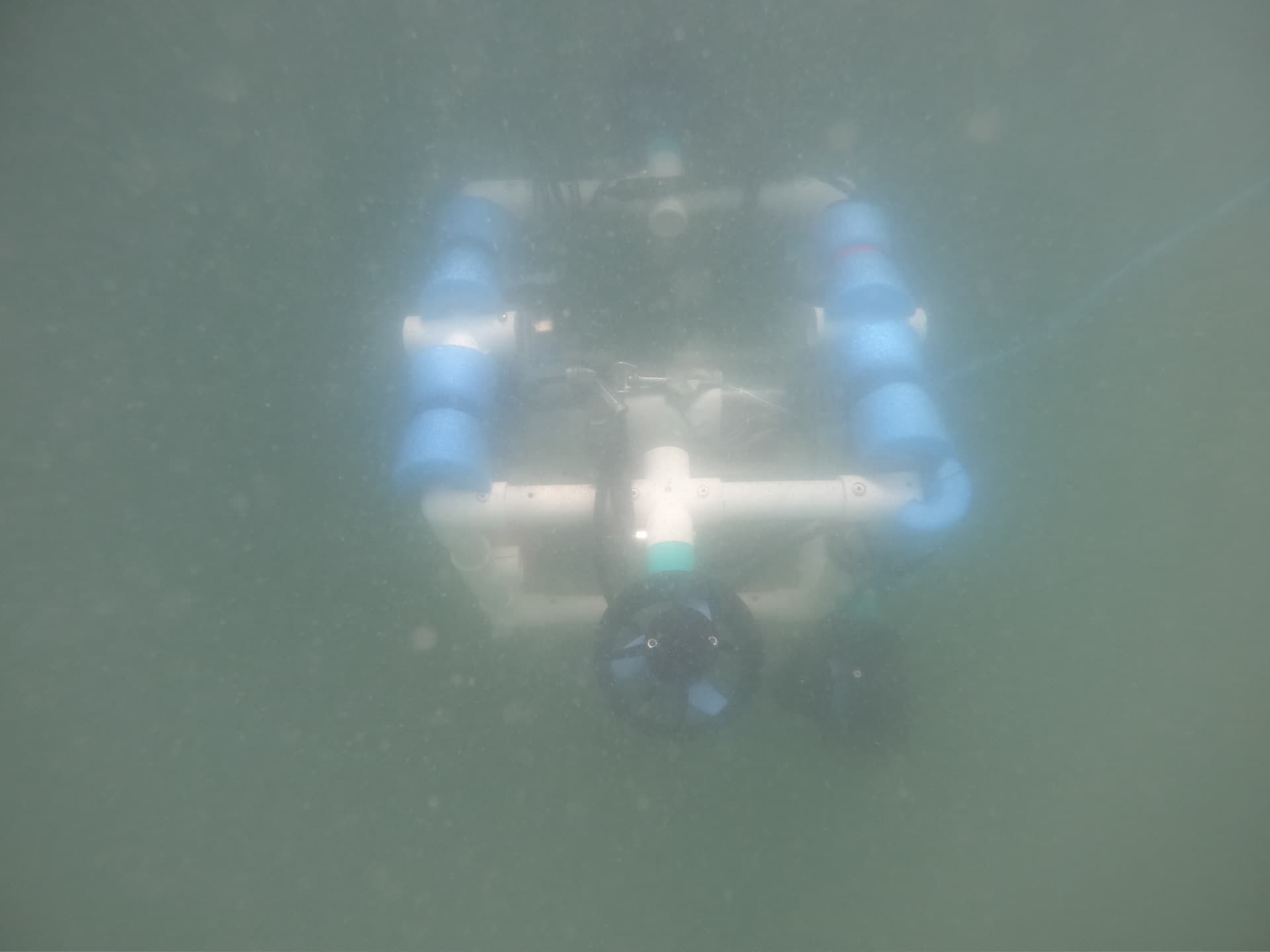 ROV in the field