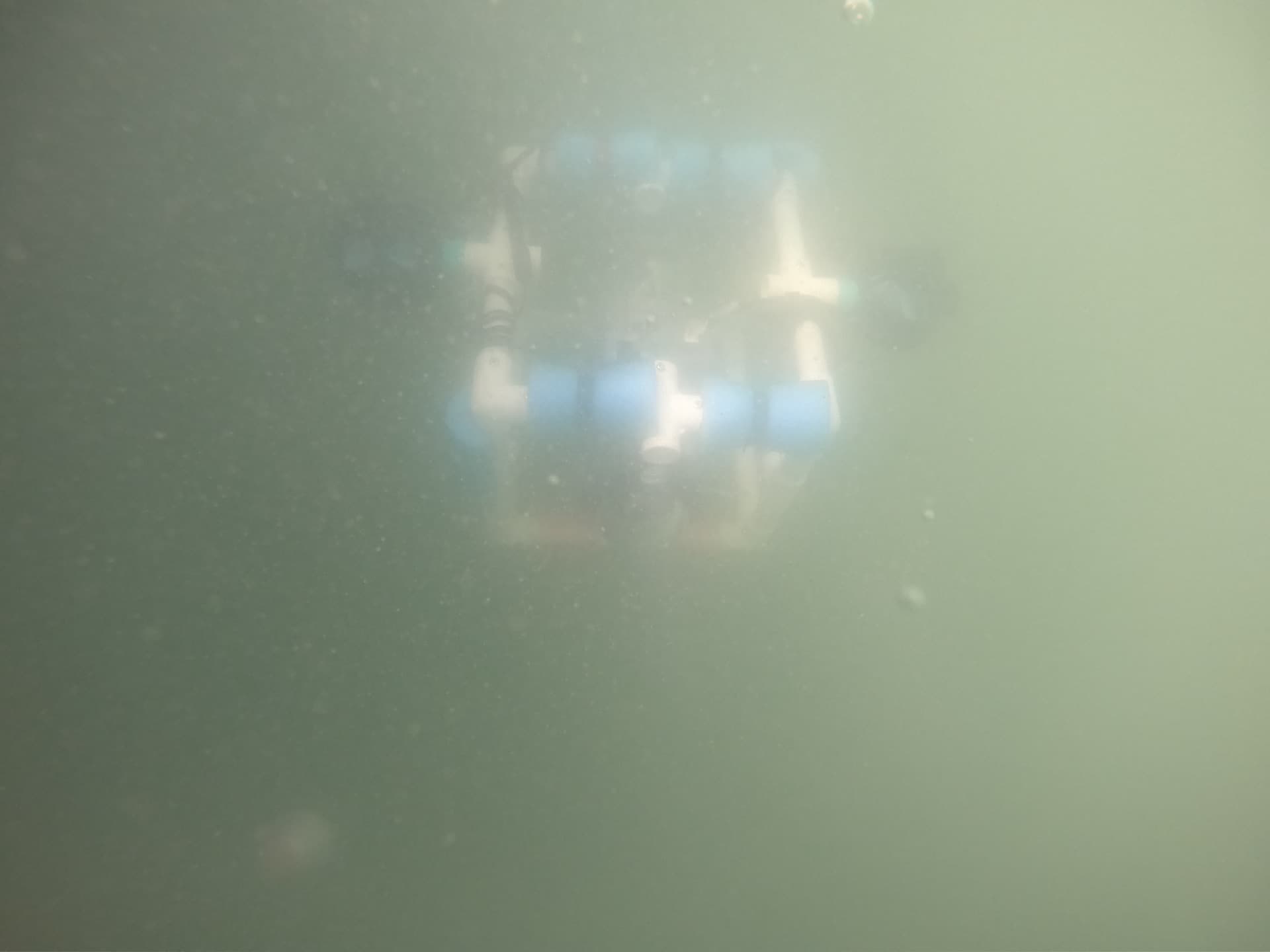 Coastal reef habitat