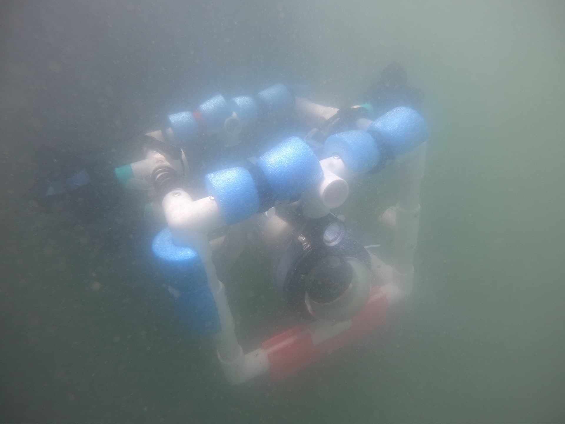 ROV in the field