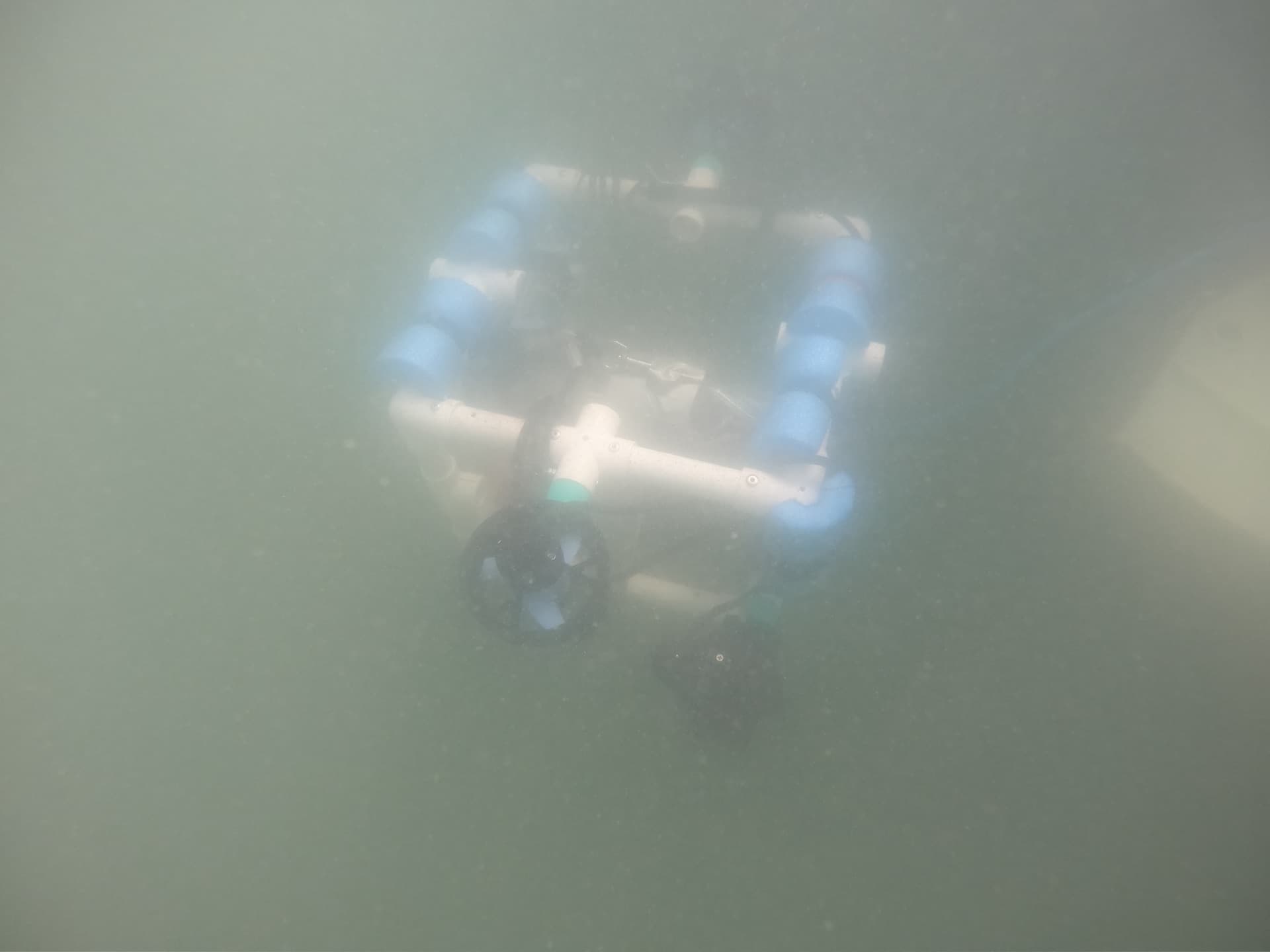 ROV in the field