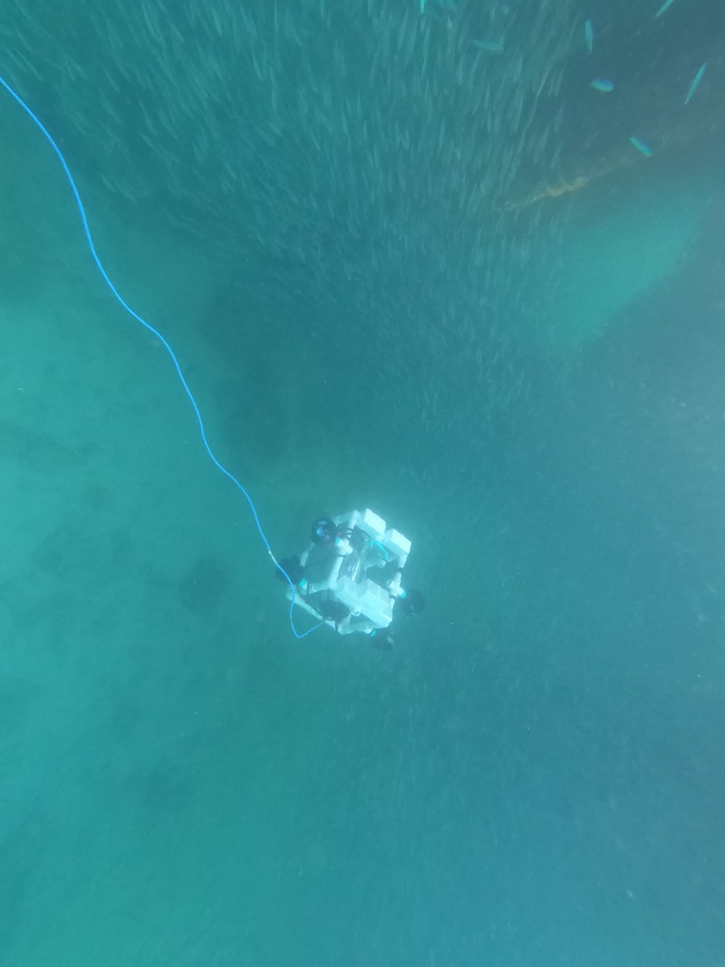ROV in the field