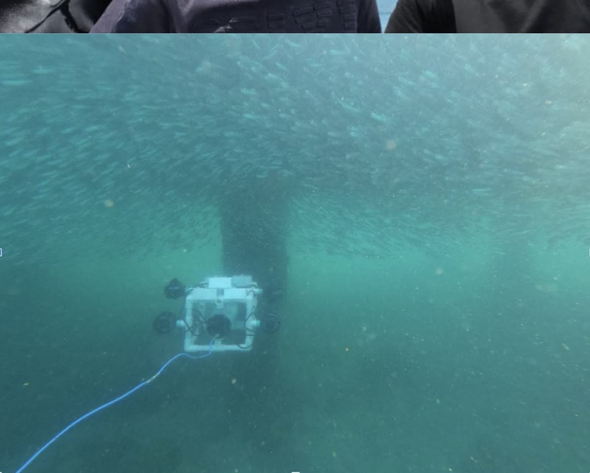 ROV in the field