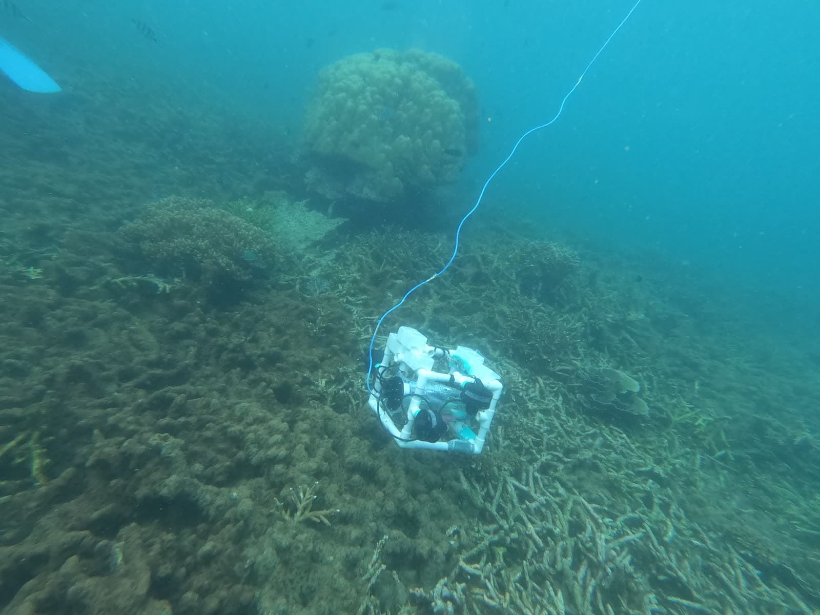 ROV field photography